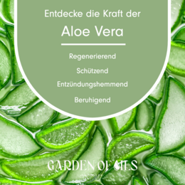 Huile d'Aloe Vera 30ml (bio)