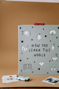 Zwangerschap en eerstejaars boek HOE JE DE WERELD LEERT