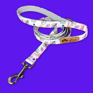 Pastelkleurige hondenriem