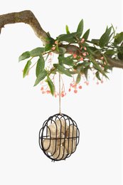 Metal bird feeder with hanging branch and red berries