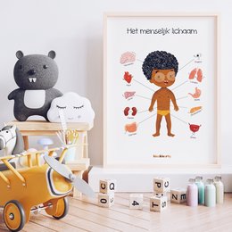 Educational anatomy poster featuring a detailed illustration of the human body with labeled organs and body parts. Suitable for a child's bedroom or learning environment.
