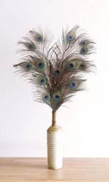 Peacock feathers, 10 pieces, dried flowers, vibrant colors, natural decor, elegant display

The image shows a bouquet of 10 peacock feathers in a vase. The feathers have a vibrant array of colors, including shades of blue, green, and brown. The feathers have a distinctive shape with an eye-like pattern at the end, creating an elegant and natural decorative piece.
