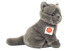 Carthusian cat sitting 20 cm - soft toy - soft toy