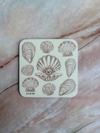  Coasters featuring a variety of seashell designs in neutral colors.
