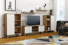 TV Reol System