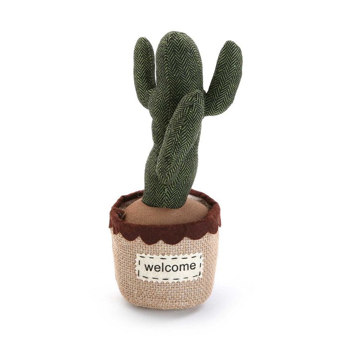 gummibaum im wohnzimmer Gummibaum | kaufen main image 1