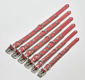 EDELWEISS - Elegante hondenhalsband met stijlvolle applicaties