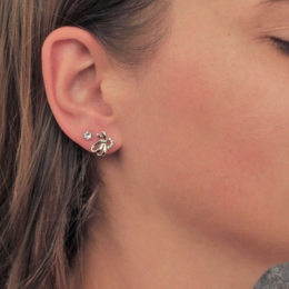 Boucles d'oreilles Posie - Argenté et Cristal