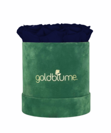 Colección Terciopelo Verde