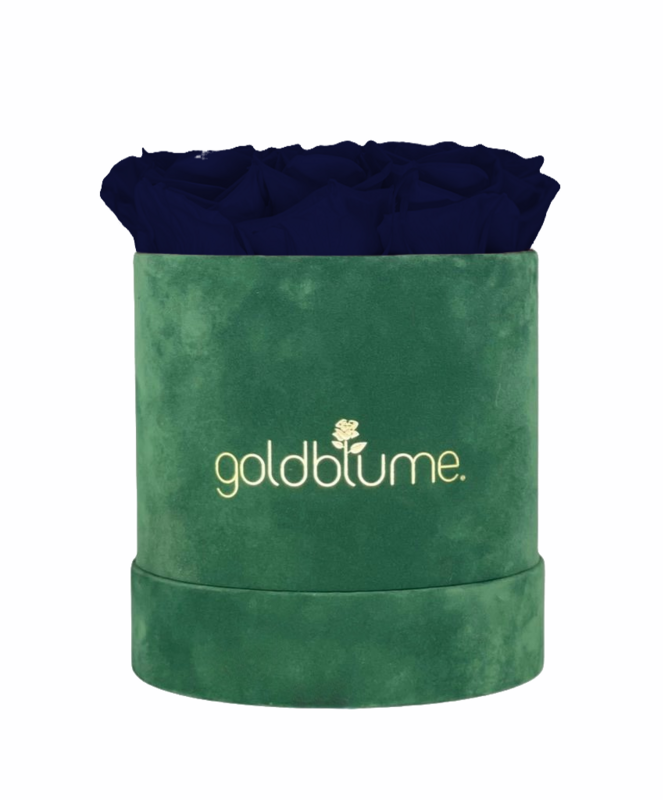 Colección Terciopelo Verde