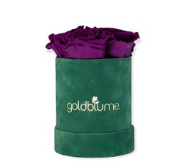 Colección Terciopelo Verde