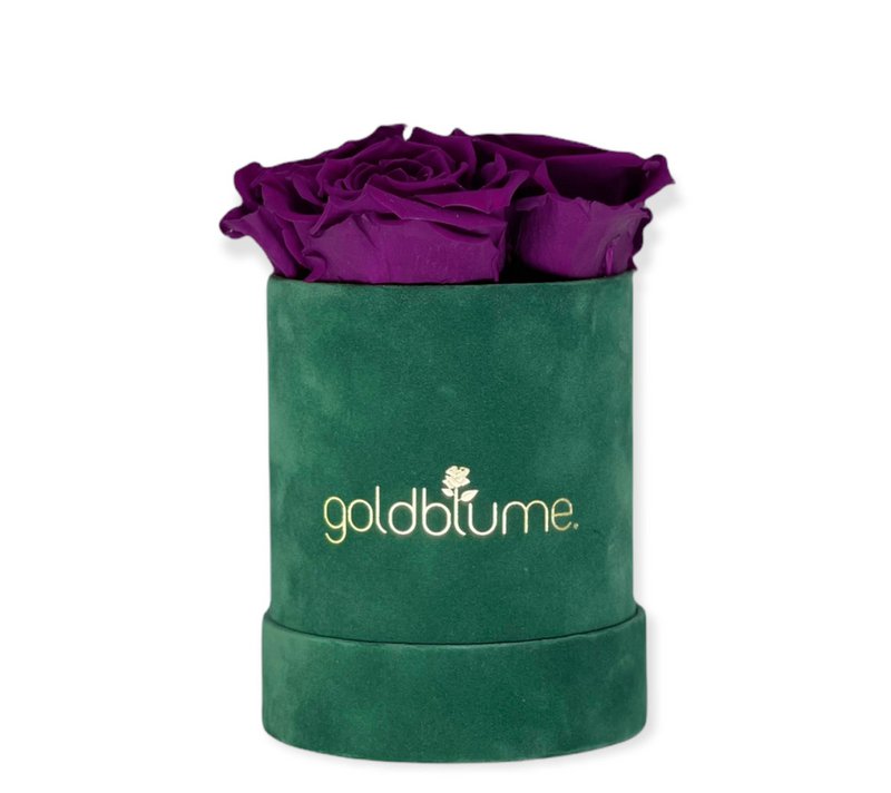 Colección Terciopelo Verde