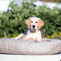 LUNA LOUNGE SET - SMOOTH