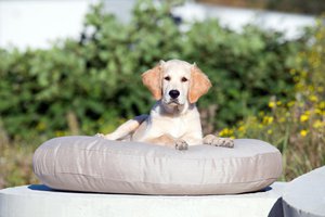 LUNA LOUNGESET - VLOT