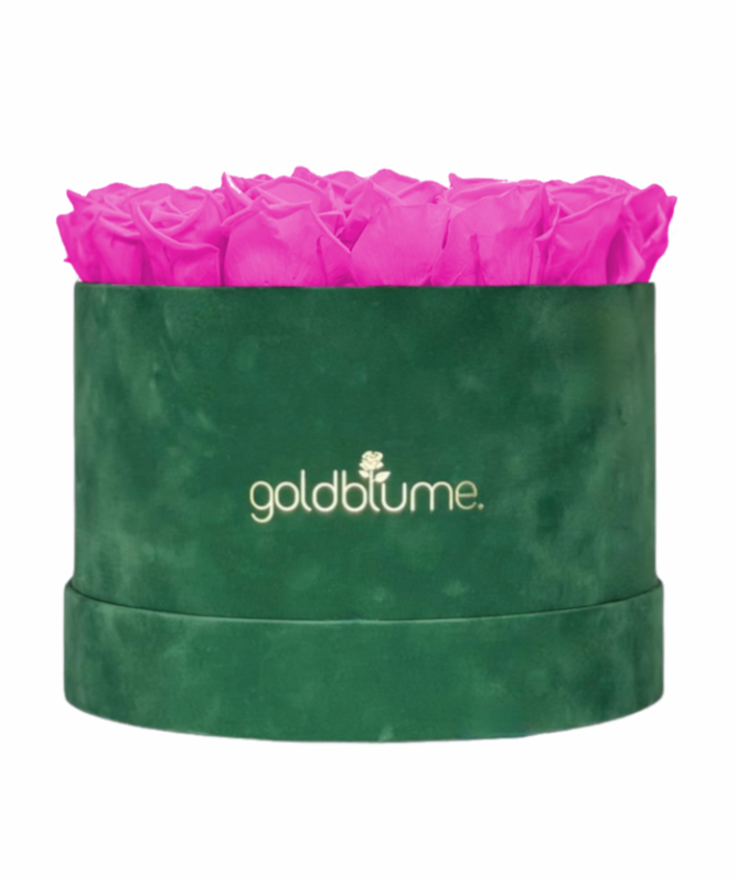 Colección Terciopelo Verde