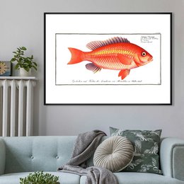 Goldfish antik vintage print