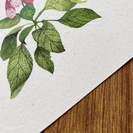 Greeting Card - Foxglove