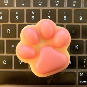 De enige echte in Orderchamp! Lovely Cat Paw Wax Melt/Candle (4 kleine pootjes)