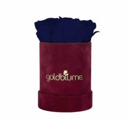 Velvet Bordeaux Collection