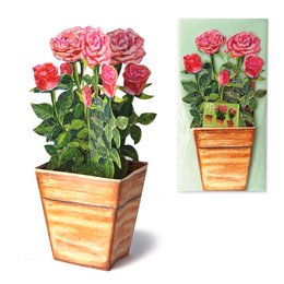 A bouquet of vibrant pink and red roses in a wooden planter. The roses have lush, full blooms and are surrounded by green foliage.