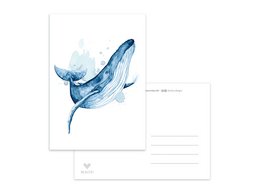A postcard featuring a detailed illustration of a jumping whale in shades of blue.
