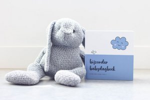 Spezielles Babytagebuch