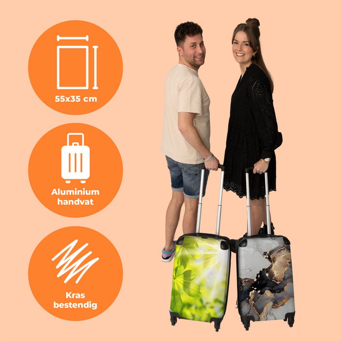 20kg hold luggage online