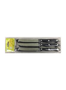 Stainless steel table knife with plastic handle, 6 pieces