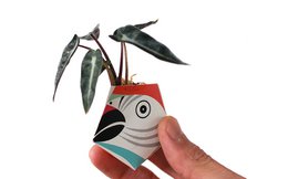 3 OriBon - Colección de animales de la selva tropical