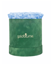 Colección Terciopelo Verde