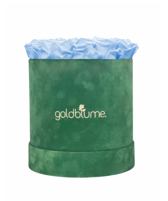 Colección Terciopelo Verde