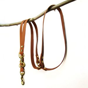 Adjustable dog leash