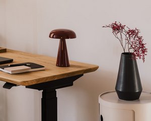 Standing Desk Pro Mini