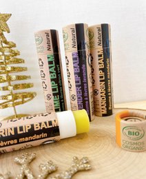 Bio-Pfefferminz-Lippenbalsam 15 ml – ein Stück