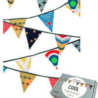 Slinger Mini Garland Cool