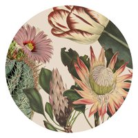 Wall Art | Pictea Cactus