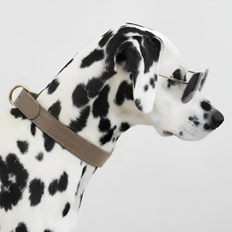  Vegan leather dog collar, tan beige color, adjustable buckle closure, durable pet accessory