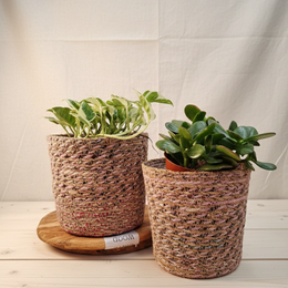  "Set of 2 woven natural fiber plant baskets, round cylindrical shape, beige tan woven material, eco-friendly recycled hogla"