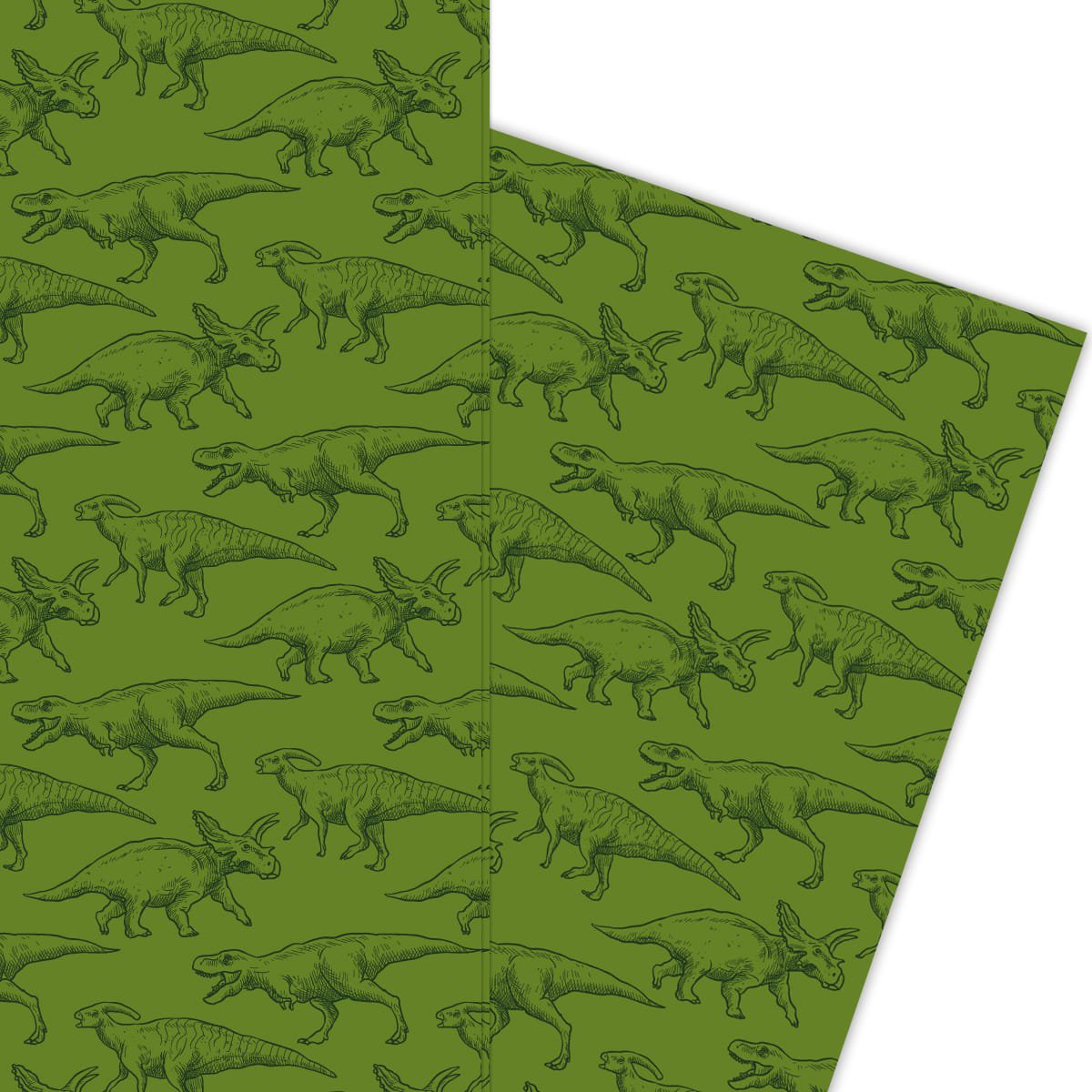 4 fogli piccoli: carta da regalo classica per dinosauri per gli esploratori  di domani e sul verde Commercio all'ingrosso in linea