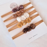 Newborn Daisy flowers