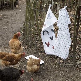 Organic tea towel - Chickens