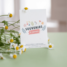 Souvenirs at så - Pakke med vilde blomsterfrø