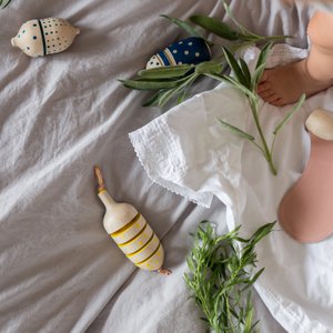 Rasselset in Fruchtform