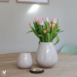 Tasman S matte ivory vase, a simple and elegant ceramic vase with a smooth, matte ivory finish.