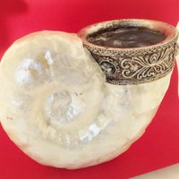 Shell Nautilus mother of pearl