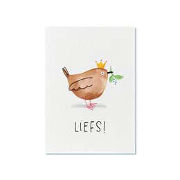 A postcard featuring a cute illustration of a bird with a crown, holding a flower, with the text "Liefs!" (Dutch for "Love!"). The postcard is part of the "Cards with Pictures" category.