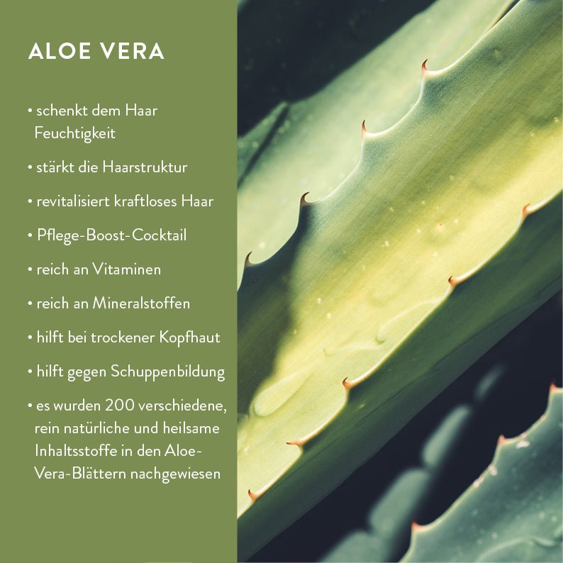 Økologisk naturlig kosmetikbalsam i pulverform med en refillflaske lavet af flydende træ