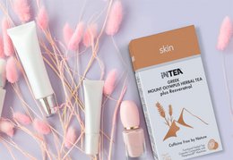 iNTEA SKIN Mt. Olympus Functional Tea, 10 Teebeutel