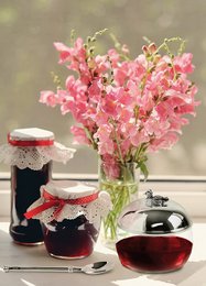 EDZARD jam jar duck with spoon, noble silver-plated, height 10 cm, diameter 10 cm