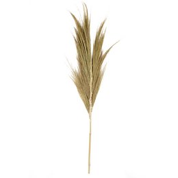 A set of 25 natural-colored mini hay plume decorative accents, suitable for use as statues or home decor.